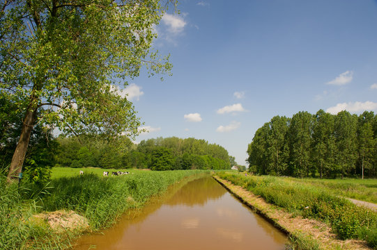 Dutch water landscape