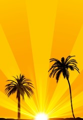 Summer tropical background