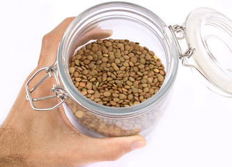 lentil