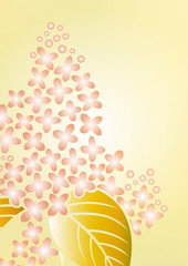 グラフィックパターン