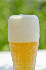 ビール