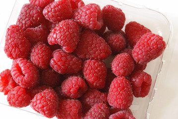 Raspberries