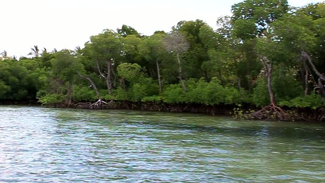 kenya watamu  safari blue escursione