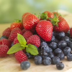 Summer Fruits