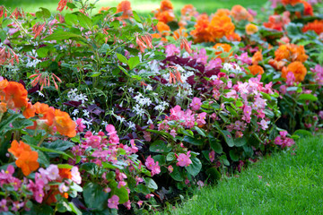 Herrliches Blumenbeet