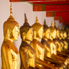 Statues of golden Buddha