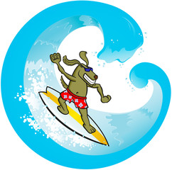 Surf Dog
