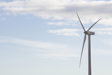 Fototapeta premium windmill