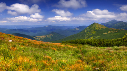 Colorful summer landscape in the  mountains