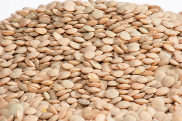 Lentils - White background