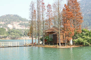 wood house on water