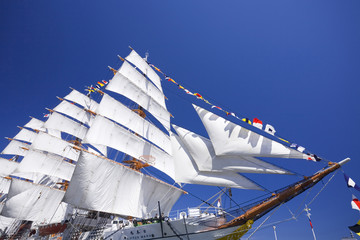 日本丸 © paylessimages