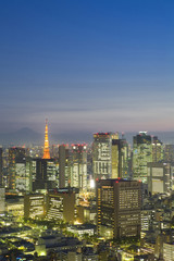 Fototapeta na wymiar 汐留ビル群と東京タワー