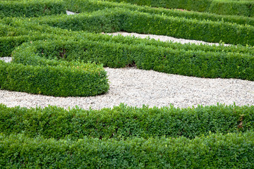 Moderner Garten mit Buchs