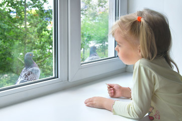 A sad little girl looks at a pigeon outside the window