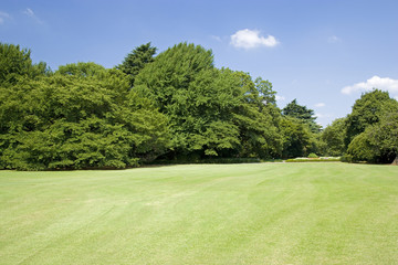 深緑の庭園