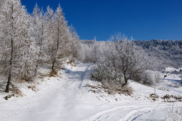 Obraz premium Winter landscape with snow in mountains, Slovakia