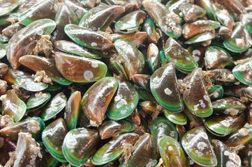 sea product from the adaman sea in local fish market
