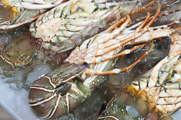 sea product from the adaman sea in local fish market