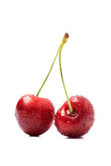 Two cherry in dew