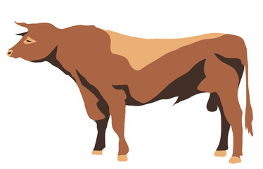stand-up big bull with horns