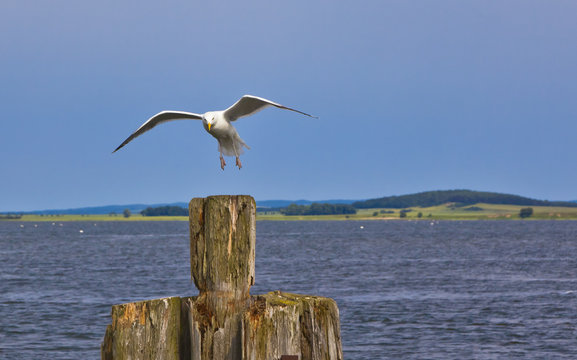 moewe landet