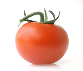 isolated tomato