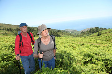 Fototapeta na wymiar Portrait of happy senior couple hiking in natural landscape