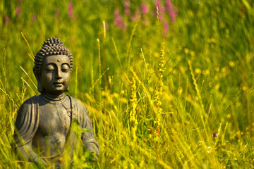 Buddha in der Natur