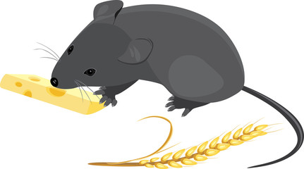 Field mouse with wheat ear and piece of cheese