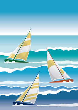 sailing regatta