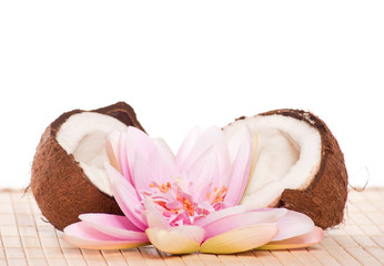 noix de coco - fruit exotique