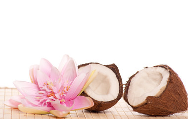 Obraz na płótnie Canvas coconut - owoce egzotyczne
