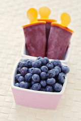 blueberry ice cream