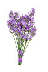 Naklejka premium Lavender Herb Flower Posy