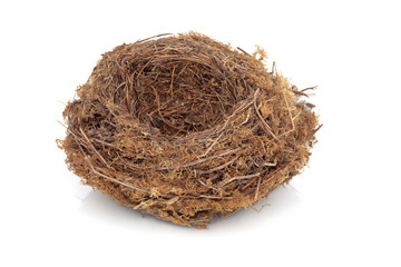 Obraz premium Bird Nest