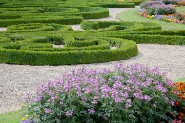 Gartenanlage mit Buchsbaum