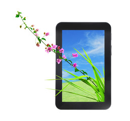 pink flower and fresh grass on tablet PC isolated