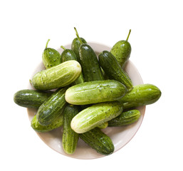 Cucumbers on a white background