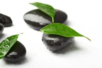 black stones and green leaves