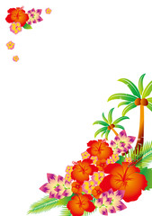 Tropical resort Frame