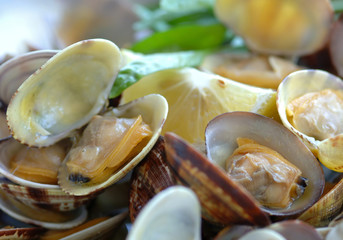 Vongole veraci