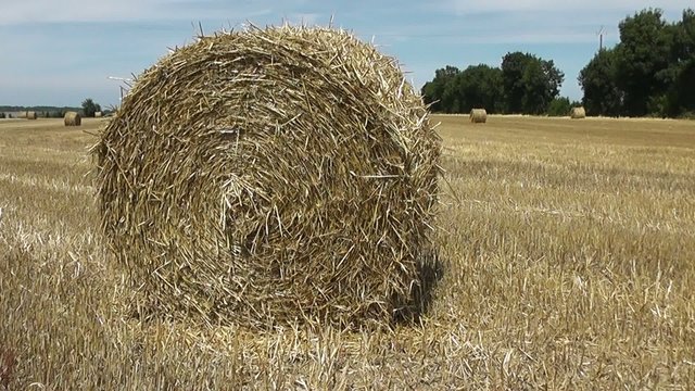 Ballots de paille