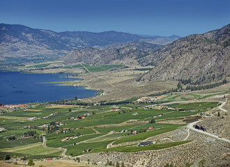 Vineyards by Osoyoos Lake