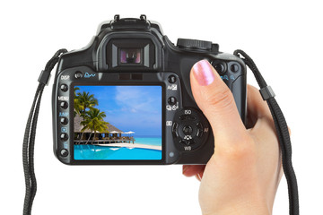 Camera in hand and beach landscape