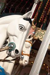 Carousel - horse head - Giostra - testa di cavallo