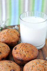 Poppy seed muffins with chocolate chips.