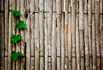Bamboo Wall