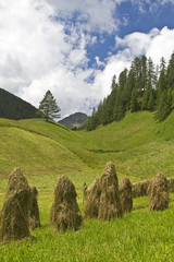 Heumanndln in S&uuml;ddtirol