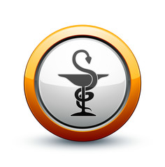 ic&ocirc;ne caduc&eacute;e